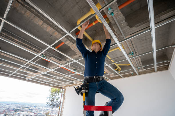 Best Local Plumber Services  in Reno, NV